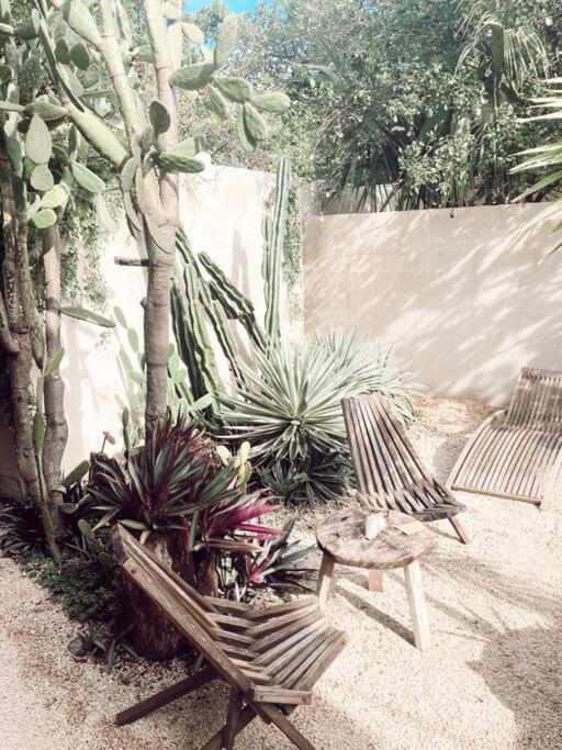 Hotel Boutique Kaa Mérida Εξωτερικό φωτογραφία