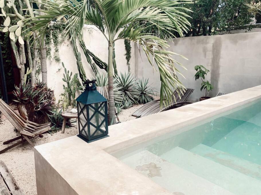 Hotel Boutique Kaa Mérida Εξωτερικό φωτογραφία
