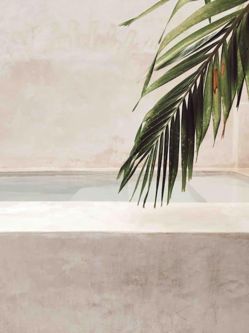 Hotel Boutique Kaa Mérida Εξωτερικό φωτογραφία