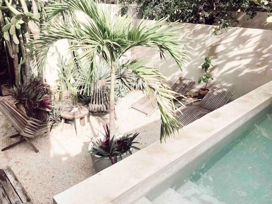 Hotel Boutique Kaa Mérida Εξωτερικό φωτογραφία